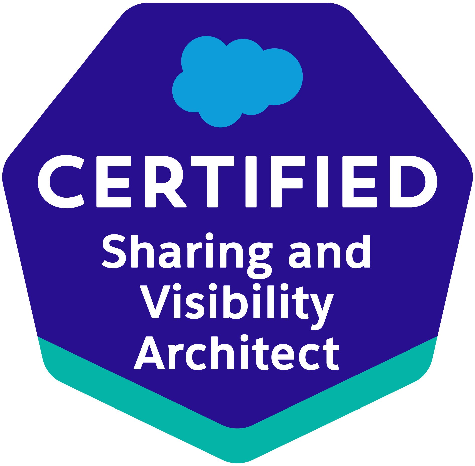 AMDIS certificated as Salesforce Sharing Visibility Architect
