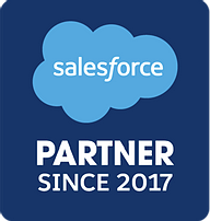 AMDIS Salesforce partner